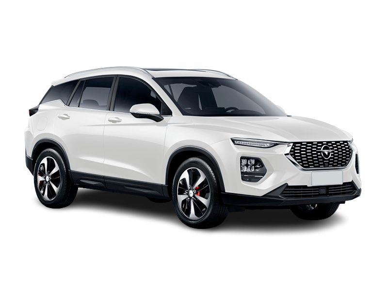 Haima 8S