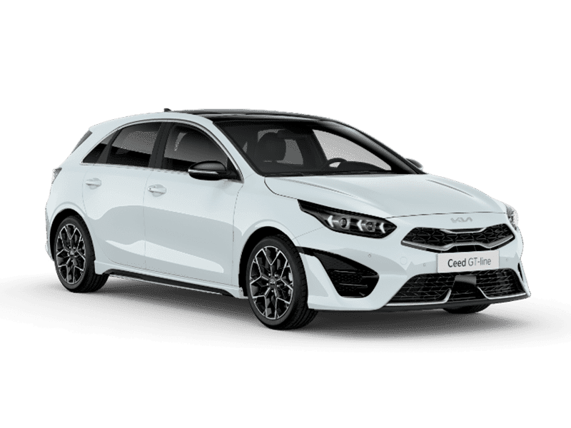 Cassa White